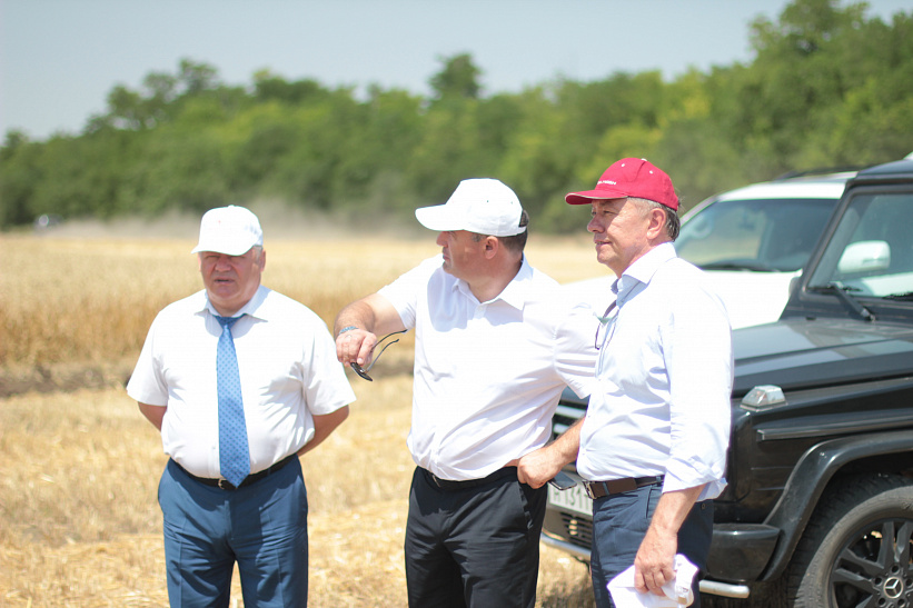 Урожайность зерновых на Ставрополье увеличится на 25%